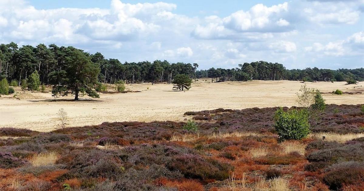 Vakantie Op De Veluwe Villa Lunteren Exterior foto